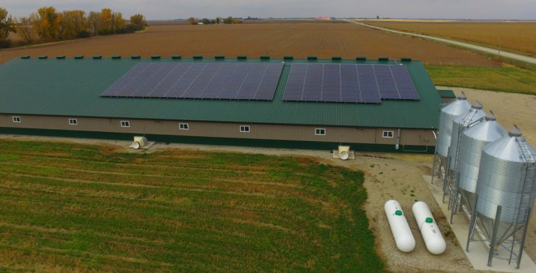 solar panels at farm