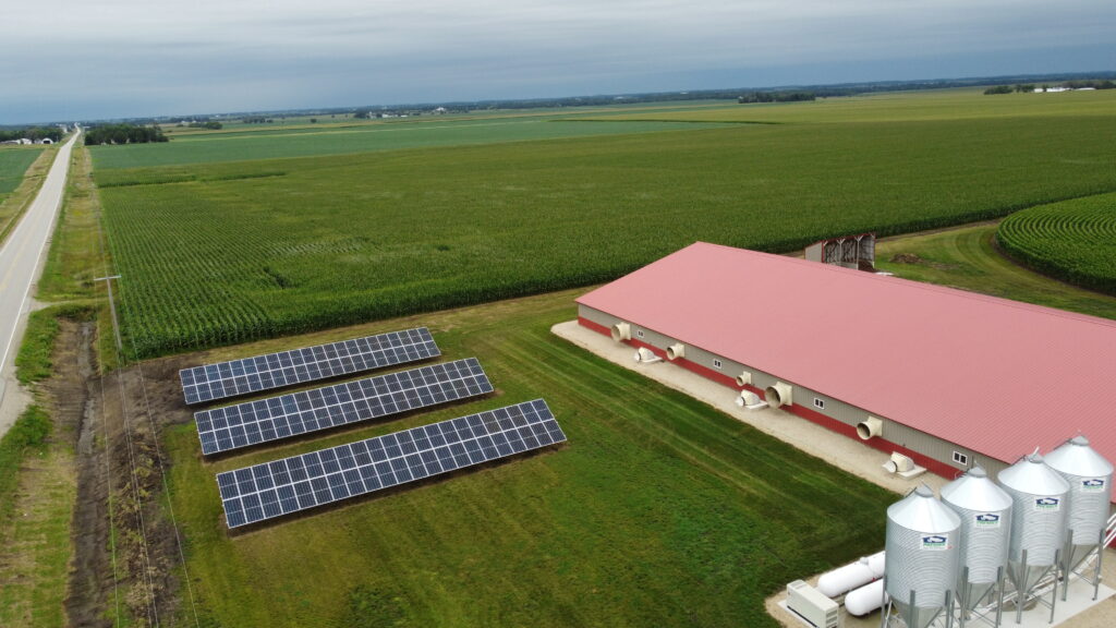 CFE Hog Barn